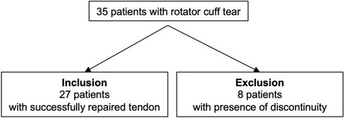 Figure 1 Diagram for patient inclusion.