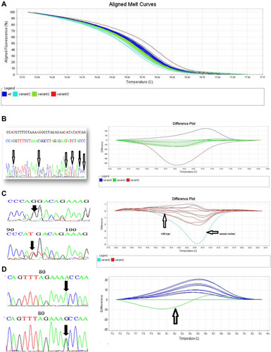 Figure 2 HRM results and its sequencing analysis. (A) Aligned melt curves of BRCA1 gene exon 2 by HRM. 2a. Dark blue: wt (wild type), light blue: variant 2, green: variant1, and red: variant 3 (B) HRM results and its sequencing analysis amplifying 133bps of exon 13, BRCA1 gene. Dark blue: variant 2, green: variant 1, red: variant 3 (C) HRM results and its sequencing analysis amplifying 170bps of exon 19, BRCA1 gene. Red: wild type and light blue: mutant variant (D) HRM results and its Sequencing analysis amplifying 371bps of BRCA2 gene exon 11f of BRCA2 gene. Dark blue: wild type and green: mutant variant.