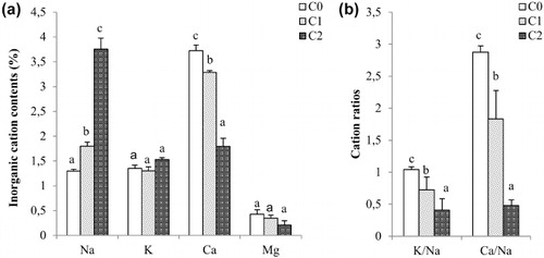 Figure 2. The effects of irrigation with saline water on the inorganic cation contents (a) and on the K/Na and the Ca/Na ratios (b) in Aloe leaves. Values are mean ± SD based on three replicates and bars indicate standard deviation.Notes: For each element and ratio, columns with different letters are significantly different at P < 0.05 according to Tukey's test. C0, C1 and C2 indicate, respectively, the electrical conductivity of the irrigation water, ECw equal to 1.25, 3 and 12 dS m–1.