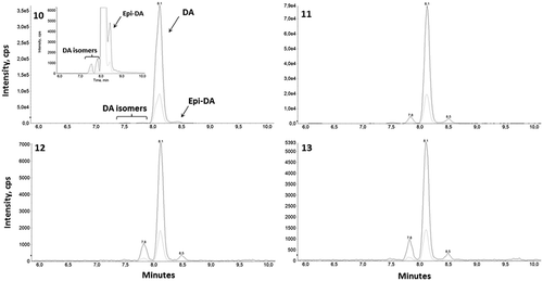 Figures 10–13. Chromatogram of domoic acid (DA) and isomers obtained after LC-MS/MS analyses of standard and Pseudo-nitzschia plurisecta cell extracts. Fig. 10. Domoic acid standard; Fig. 11. P. plurisecta strain IFR-PPL-15.1; Fig. 12. Strain IFR-PPL-15.2; Fig. 13. Strain IFR-PPL-15.3. Figs 10 and 11 include magnified views to show the isomer peaks. The highest peak represents the most abundant m/z transition 312.1 → 266.1 and the peak beneath is the less intense fragment 312.1 → 161.1.