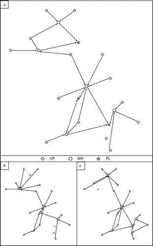 Figure 14 Optimised network configuration for: (a) two products, (b) product 1 and (c) product 2.