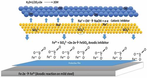 Figure 7. Inhibition surface reaction at the anion and cation sites.