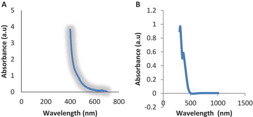 Figure 2. (A) UV/VIS spectroscopy of crude M.indica L dye and (B) UV/VIS of M.indica L hexane faction doped with K+.