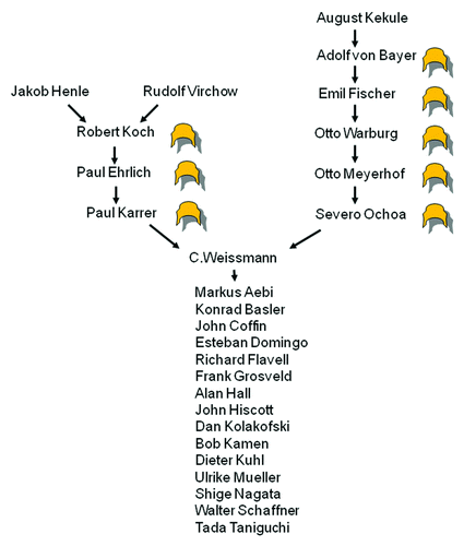 Figure 8. Genealogy in science. Successful scientists are frequently the scientific offspring of other successful scientists, however, if there is a genetic component to Nobel predisposition (crown-like symbol), it is likely recessive. Only a few of my hundred-odd scientific offspring are listed (in alphabetical order), several of whom have outclassed me.