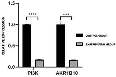 Figure 9 SCU regulates the expression of PI3K and AKR1B10 proteins in HepG2 cells. ***, ****Represents p < 0.001, p < 0.0001, respectively.