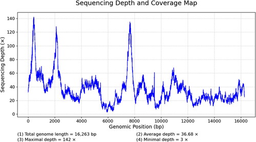 Figure 2. The sequencing depth and coverage map for mitochondrial genomes. The average depth is 36.68×.
