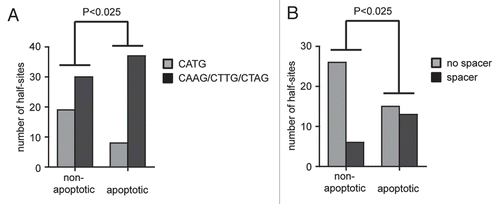 Figure 5 Proapoptotic target genes in a list of experimentally validated p53 target genes (Sup. Table 1) are enriched for p53 response elements with spacers and non-CATG core sequences. Statistical significance was calculated by Pearson's Chi-square test. (A) Number of half-sites with a central CATG versus CAAG, CTTG or CTAG sequence in non-versus proapoptotic target genes. (B) Presence of spacer containing response elements in non-versus proapoptotic target genes.