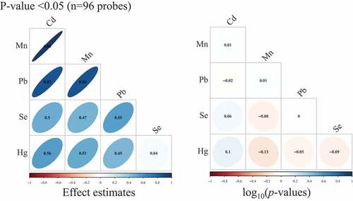 Figure 2. Pearson correlation matrices for effect estimates and Spearman correlation matrices for – log10(p-values) from single-site analyses of cadmium (Cd), manganese (Mn), lead (Pb), selenium (Se), and total mercury (Hg), where we restricted to only CpG sites that had p-value <0.05 in models of Cd, Mn, and Pb. (n = 97 samples).