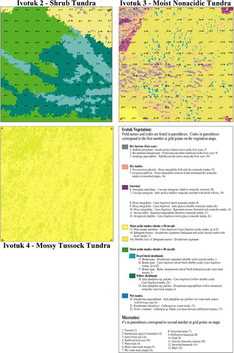 FIGURE 1. Vegetation maps of the shrub tundra (ST), moist nonacidic tundra (MNT) and mossy tussock tundra (MT) 100 × 100 m grids. A vegetation map of the moist acidic tundra (MAT) grid was not developed because the corners of the grid could not be adequately georeferenced from the aerial photographs of the site