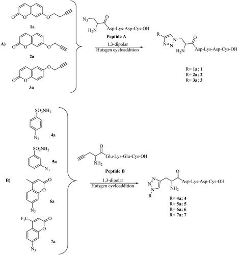 Scheme 2. Synthetic approach to CAI-functionalized peptides 1–7.
