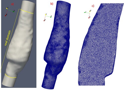 Figure 20. (a) Test 4. Real and computational domain. (b) computational mesh. (c) Section of the mesh with a generic plane.