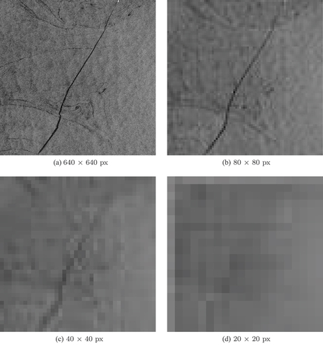 Figure 8. Images with oil spills in different scales. The images were downsampled to different dimensions. Note that the original image has a size of 1145×1145 px, which is greater than the model input size; thus, the image was downsampled to 640×640 px as shown in (a) (see Subsection 2.3 for detailed explanation).
