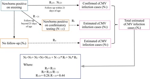 Figure 1. Estimation of the prevalence of cCMV. Note: Nu is the number of newborns not followed up after showing a positive result on screening, and Ru is the rate of cCMV infection in newborns without follow-up. N≤21 is the number of newborns who tested positive on confirmatory testing within 21 days of birth, and R≤21 is the rate of cCMV cases in newborns who underwent confirmatory testing within 21 days of birth. N>21 is the number of newborns who tested positive on confirmatory testing beyond 21 days of birth, and R>21 is the rate of cCMV cases in newborns who underwent confirmatory testing beyond 21 days of birth. Rt is the rate of true cCMV cases in newborns who tested positive beyond 21 days of birth on confirmatory testing.