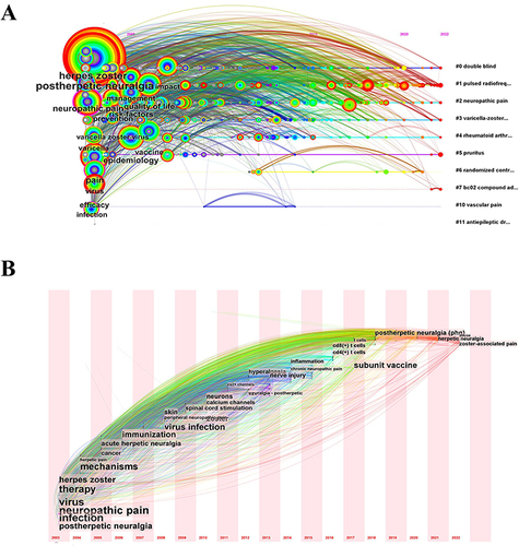 Figure 4 The software Citespace was employed to conduct timeline and time zone analysis of the key terms found in the literature related to PHN and VZV.