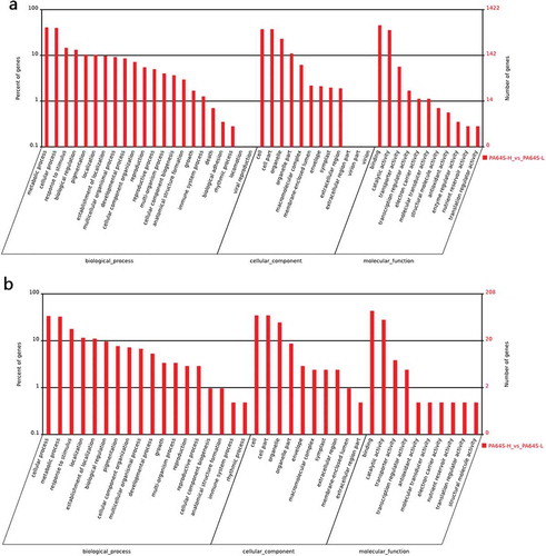 Figure 6. Gene ontology analysis for the targets of the differential expression of known and novel miRNAs based on the terms of cellular component, biological process and molecular function in PA64S-H and PA64S-L. a. known miRNAs. b. novel miRNAs.