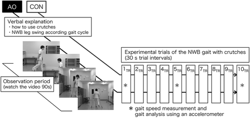 Figure 1. Both control (CO) group and action observation (AO) group received verbal explanation before starting the experiment task. In addition to the verbal explanation, AO group watched a video of another person performing the same task (observation period). The non-weight-bearing (NWB) gait showed a third-person perspective of the entire body from the front, back, right, and left sides in the video. All participants were performed a total of 10 trials. The interval between trials was set to 30 s or more. Gait speed and trunk acceleration were measured during the 1st, 5th, and 10th trials for each group.