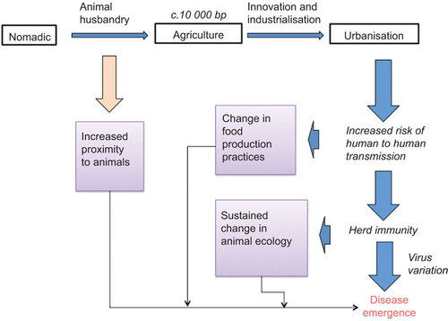 Figure 1 Disease emergence pathways and responses to zoonotic infections.