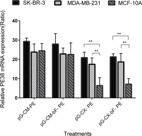 Figure 9 The PE38 gene expression on mRNA level in SK-BR-3, MDA-MB-231 and MCF-10A, transfected with various constructs containing the gene for PE38. All samples were normalized to mRNA levels for β-actin. Each bar represents the average of a minimum of three independent transfections; error bars represent the standard deviation. The statistical significance of the groups was calculated using t-test and two-way ANOVA and Tukey’s test for multiple comparisons. p < 0.05 was considered statistically significant. **p < 0.01.