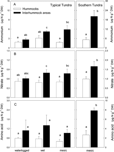 FIGURE 2. Concentrations of extractable NH4 + (A), NO3 − (B), and amino acids (C) in soils of hummocks and interhummock areas of a southern tundra subzone ecosystem and three subsites of a typical tundra subzone ecosystem at the Taymyr Peninsula, Russia. Bars represent means plus one standard error (n = 4–5). Within each site, bars with different letters are significantly different (ANOVA, LSD, P < 0.05)