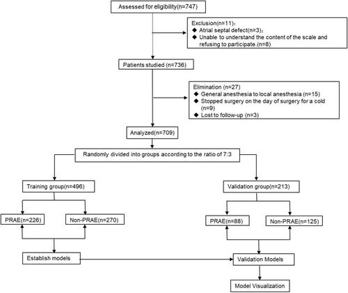 Figure 1 Flow chart outlining the patient inclusion process.