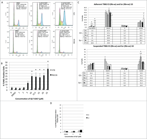 Figure 5. ILK Inhibition effects apoptosis and G2+M-phase arrest in an Rb-dependent manner. (A) Rb116 and Y79 cells were exposed to 5 and 10 μM QLT-0267 or drug vehicle for 5 d. Cells were then stained with propidium iodide for the fluorescence-activated cell sorting analysis. The percentage of cells in sub-G1, G0/G1-, S- and G2+M-phase is expressed as an average ± SEM of independent platings (n = 2−5) for both QLT-0267 and vehicle treated groups. A marked increase in the percentage of Y79 cells in the G2+M-phase was observed in QLT-0267 treated cells as compared to vehicle control. The ILK inhibitor induces a significant sub-G1 peak in Rb positive Rb116 cell lines but not Rb negative Y79 cells following a long-term exposure to QLT-0267. Rb116 cells do not show any significant mitotic arrest, but show a significant sub-G1 peak indicative of apoptosis at 10 μM QLT-0267. Data are represented as the mean ± SEM, n = 3−6 independent experiments. *p < 0.10, different from vehicle control and **p < 0.10, different from vehicle control and lower QLT-0267 concentration, as determined using an ANOVA and Fisher's (LSD) test. (B) TUNEL positive retinoblastoma cells (Y79 and Rb116) exposed to increasing concentrations of QLT-0267 were determined following 5 d in culture. A significant increase in the percent of TUNEL positive cells was observed for Rb116 at QLT-0267 concentrations greater than or equal to 10 μM while a significant increase in TUNEL positive Y79 cells was not observed. Data are represented as the mean ± SEM, n = 3−6 independent experiments. *p < 0.05, different from vehicle control as determined using an ANOVA and Fisher's (LSD) test; vehicle control and nonvehicle control were not statistically different. (C) T98G cells expressing normal levels of Rb (labeled Scr) and those having Rb downregulated (labeled E3) were exposed to 5 and 10 μM QLT-0267 or drug vehicle for one day (1D). Nonadherent or suspended cells (lower panel) were separated from adherent populations (upper panel) and fluorescent-activated cell sorting analysis was performed. The percentage of cells in sub-G1, G0/G1-, S- and G2+M-phase (G2/M) is expressed as an average ± SEM of 3 independent platings. The ILK inhibitor induces a significantly higher sub-G1 peak in T98G cells expressing normal levels of Rb (T98G Scr) than those downregulated for Rb (T98G E3). In adherent populations, T98G Scr exhibited a G2+M-phase arrest. However, G2+M-phase arrest was only observed in suspended populations of T98G E3 cells (downregulated for Rb). *p < 0.05, different from vehicle control and ** different from other QLT-0267 treatments as determined using an ANOVA and Fisher's (LSD) test. (D) Early DNA damage response is not apparent in T98G cells following a 6 hour exposure to QLT-0267. Increased phospho-histone H2A.X staining was not observed in T98G Scr and T98G E3 cell lines, exposed to 5 and 10 μM QLT-0267 as compared to vehicle control.