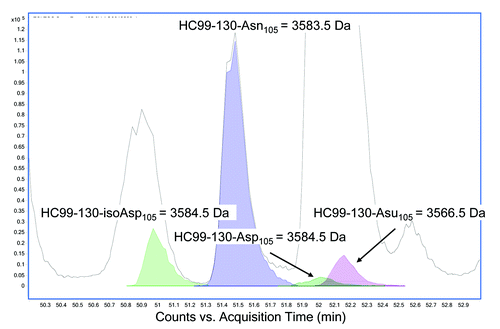 Figure 9. Representative reverse phase LC/MS extracted ion chromatogram of acidic tryptic digests of mAb-1 recovered from serum showing the EIC’s of HC99–130 tryptic peptide (MW = 3583.5 Da) and the corresponding tryptic peptide containing the succinimide (Asu) modification (MW = 3566.5 Da) and the Asp and iso-Asp modification (MW 3584.5 Da).