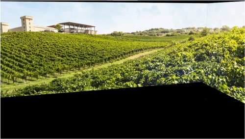 Figure 2. Italian vineyard in CAVE system.