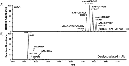 Figure 4. Investigation of glycation by comparing the raw mass spectra from (A) intact mAb and (B) deglycosylated mAb. Spectra comes from 0-Lys variance under 29+ charge state.