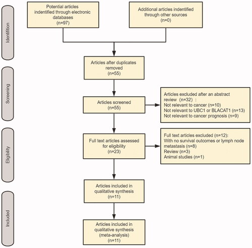 Figure 1. Flow chart presenting the steps of literature search and selection.