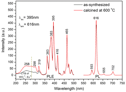 Figure 11. PLE and PL spectra of the as-synthesized and calcined NaEu(WO4)2.