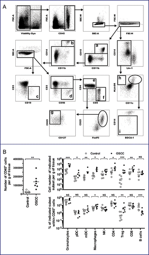 Figure 1. Human Oral Squamous Cell Cancers are inflammatory neoplasms. Single cell suspensions were obtained from human OSCC samples (n = 7) and healthy gingiva (n = 7), and analyzed by flow cytometry. (A) Gating strategy: after dead cells and doublets exclusion, nine subpopulations were identified within CD45+ cells: (a) CD15+CD11b+ (granulocytes), (b) CD14+CD11b+ (macrophages), (c) CD19+CD3− (B cells), (d) CD56+CD3− (Natural Killer cells), (e) CD3+CD4+ (CD4+ T cells), (f) CD3+CD8+ (CD8+ T cells), (g) CD3+CD4+CD25+FoxP3+CD127− (Treg), (h) Lin-1neg (CD3−CD19−CD56−) HLA-DR+CD11c− (pDC) and (i) Lin-1negCD-11c+HLA-DR+CD14− (mDC). (B) Number of CD45+ cells per gram (g) of tissue (left panel), cell number of indicated subset per g of tissue (upper right panel) and percent of indicated subset within CD45+ cells (lower right panel) are presented. NS, non-statistical difference = p > 0.05; *p < 0.05; **p < 0.01; ***p < 0.001.