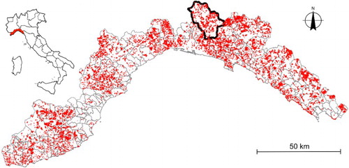 Figure 1. Overview map of Ligurian landslides from IFFI Project database (CitationISPRA, 2008). Black bold line indicates the Ligurian catchment of the Upper Scrivia valley.