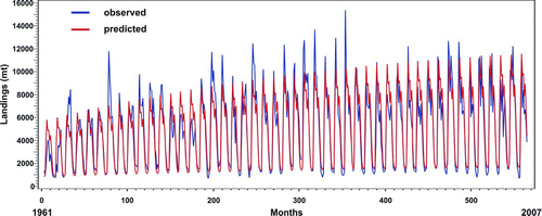 FIGURE 5 Combined monthly landings of brown, pink, and white shrimp (metric tons [mt]) in the U.S. Gulf of Mexico, 1961–2007, as reported by the National Marine Fisheries Service (observed) and estimated by a fishery population model (predicted).