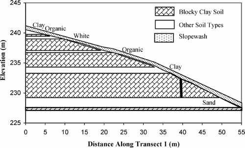 FIGURE 2.  Hillslope profile for transect 1. The elevations of the soil types other than blocky clay are listed at right with sand soil at 227.4–228.8 m, clay soil at 231.8–232.6 m, organic soil at 235.4–235.9 m, white soil at 238.6–239.2 m, organic soil at 239.8–240.5 m, and clay soil at 240.5–240.8 m. Blocky clay soil occurs everywhere else and is depicted with the hatched shading. The slopewash is shown with the dotted shading; its depth is exaggerated vertically approximately 30 times. The vertical line demonstrates how the depth to non-blocky clay soils was calculated