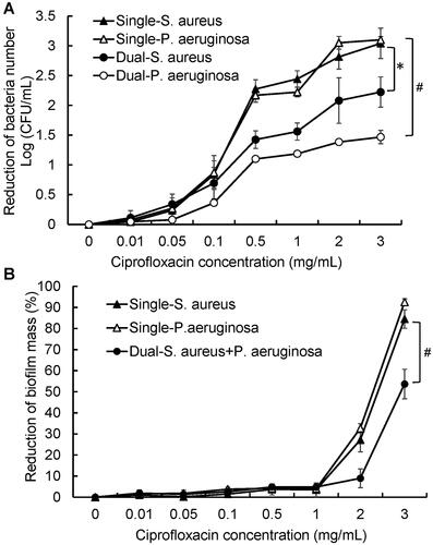 Figure 1. The susceptibility of dual species biofilm consisting of S. aureus and P. aeruginosa to ciprofloxacin in vitro. (A) Log (CFU/mL) reduction of S. aureus and P. aeruginosa in single species biofilms (Single-S. aureus and Single-P. aeruginosa) and dual species biofilms (Dual-S. aureus and Dual-P. aeruginosa) following the treatment of increasing concentrations of ciprofloxacin. (B) Biomass reduction in single species biofilms (Single-S. aureus and Single-P. aeruginosa) and dual species biofilms (Dual-S. aureus + P. aeruginosa) following the treatment of increasing concentrations of ciprofloxacin. The dual biofilms data is analysis of S. aureus or P. aeruginosa from the dual biofilm. N = 3 per group. *p < 0.05 and #p < 0.01.