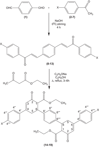 Scheme 1.  Synthesis of novel bis cyclohexenone ester derivatives.