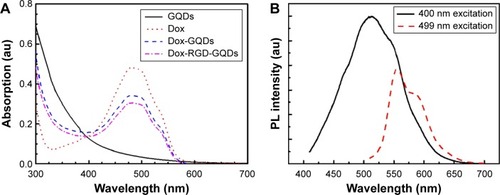 Figure 4 Optical properties of plain and functionalized GQDs.Notes: (A) Ultraviolet-visible spectra of GQDs, free Dox, Dox-loaded GQDs (Dox-GQDs), and Dox-loaded RGD-modified GQDs (Dox-RGD-GQDs). (B) PL spectra of Dox-RGD-GQDs excited at 400 and 499 nm.Abbreviations: Dox, doxorubicin; GQDs, graphene quantum dots; PL, photoluminescence; RGD, arginine-glycine-aspartic acid.