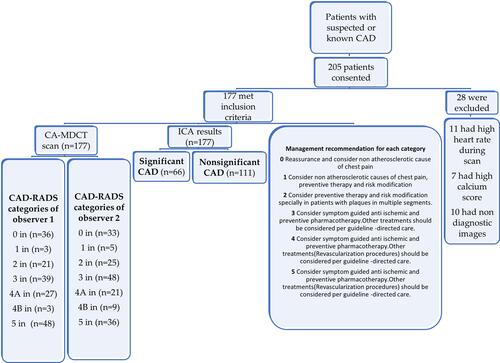 Figure 1 Flow chart of the research process shows the enrolled and omitted cases, ICA results, and CAD-RADS categories for each observer.