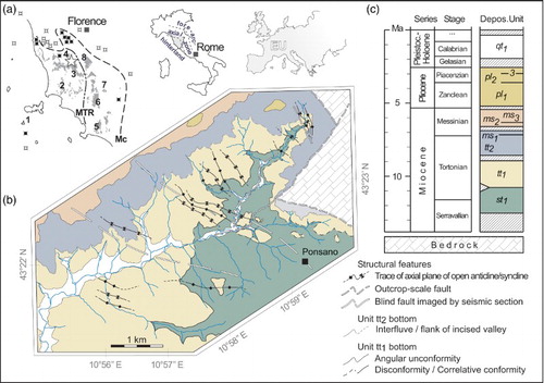 Figure 1. Geographic and geological background of the Volterra Basin. (a) Geographic location of Tuscany, Northern Apennines, Italy, and distribution of the late Miocene deposits (gray) in the Northern Apennines hinterland and northern Tyrrhenian Sea. Black/white crossed spots indicate the location of boreholes that encountered/did not encounter Miocene facies (data in part from CitationGhelardoni et al., 1968). Mc: eastern limit of Miocene hinterland facies; MTR: Middle Tuscan Range; numbers 1–8: approximate location of the type sections in Figure 2. (b) Simplified geological sketch of the study area, with depositional units and main structural features reported. (c) Chronostratigraphic framework adopted in this study, from CitationIelpi (2013).