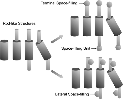 Figure 4. Possibilities for rod-like design in calamitic systems (left), and positions for filling in space with substituents; terminal (top), lateral (bottom).
