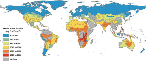 Figure 3. Mean growing season areal carbon fixation (mg C m−2 day−1) in freshwater lakes aggregated by freshwater ecoregions of the world (Abell et al. Citation2008)