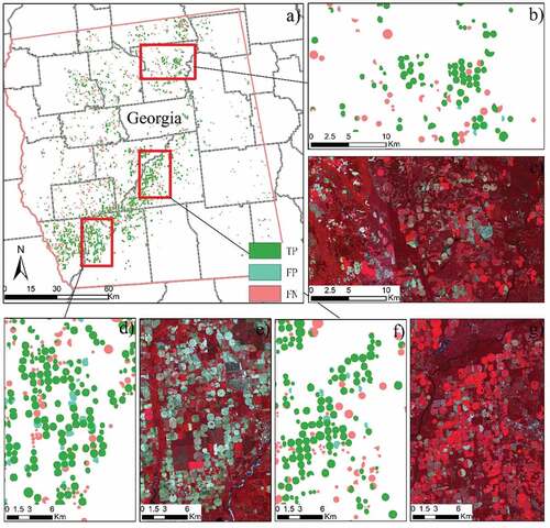 Figure 10. Comparison between predicted results and truth labels in the validation site of Georgia. (a) is the overall figure. (b,d,f) is the detailed map and its corresponding false composited satellite images (c,e,g). TP, FN, and FP represent truth positive, false negative, and false-positive samples, respectively.