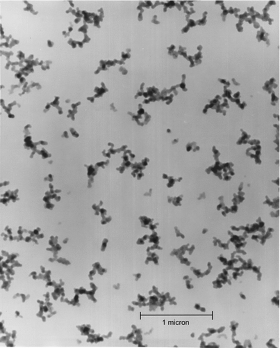 FIG. 1 Transmission electron micrograph of soot aggregate particles sampled thermophoretically from an ethylene/air laminar, diffusion flame.