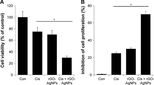 Figure 8 The effect of Cis or rGO-AgNPs alone or the combinatorial effect of Cis plus rGO-AgNPs on cell viability and proliferation in HeLa cells.Notes: HeLa cells were incubated with Cis (5 μM) or rGO-AgNPs (1 μg/mL) or a combination of Cis plus rGO-AgNPs for 24 hours. (A) Cell viability was measured using WST-8. (B) Cell proliferation was measured by trypan blue assay. Treated groups showed statistically significant differences from the Con group, as determined by Student’s t-test (*P<0.05).Abbreviations: Cis, cisplatin; rGO, reduced graphene oxide; NPs, nanoparticles; Con, control.