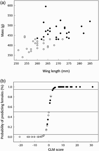 Figure 1. a) Measurements of mass and wing length of Whimbrels. Females are shown with solid circles and males with open circles. b) The probability of determining the sex of female Whimbrels using wing length and body mass according to a GLM. Females are shown with solid circles and males with open circles and the horizontal lines show the critical limit of 0.05 and the 0.5 midpoint.