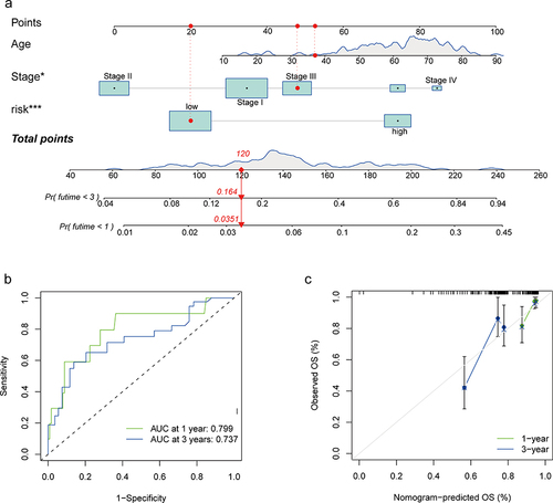 Figure 8 Prognosis prediction model for patients with NCHCC. (a) Nomogram for 1-year and 3-year OS rates. (b) Time-dependent ROC curves of the nomogram. (c) Calibration plots of the nomogram. *P < 0.05; ***P < 0.001.