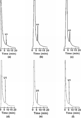Figure 4 Normal phase HPLC chromatograms of phospholipids from a water hemolysate submitted to additional purification by liquid chromatography on AG MP-1 (a); Q-SFF (b); AG MP-1/Q-SFF resins (c); an ultrasound hemolysate submitted to additional purification by liquid column chromatography on AG MP-1 (d); Q-SFF (e); AG MP-1/Q-SFF layers (f).