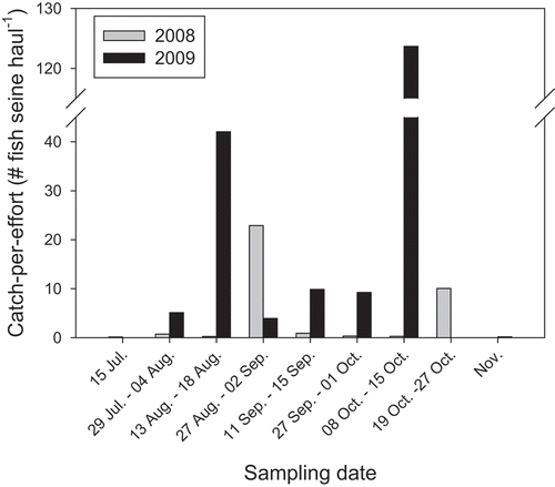 FIGURE 7. Catch per effort of Bay Anchovy collected during biweekly sampling of the lower Hudson River estuary. Each date range corresponds to the sampling dates of closest proximity between the 2008 and 2009 study years.