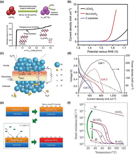 Figure 14. Ion doping in the energy fields. (a) Electrochemical process to dope LiCoO2 with Li vacancies [Citation24]. (b) The oxygen evolution reaction current as a function of applied potential [Citation24]. (c) The schematic figure of a fuel cell based on strongly correlated oxide, where hydrogen atom doped SmNiO3 serves as the electrolyte [Citation5]. (d) The current density-voltage behavior of a Pt/H-SNO/Pt-based SOFC at 500°C [Citation5]. (e) Schematic processes of doping the epitaxial VO2 on sapphire substrates through Pt assisted hydrogen doping. (f) Temperature dependent resistance measurements VO2 thin films with different level of hydrogen doping [Citation8]. (g) The experiments flow of how intercalation of organic molecules between the TiS2 layers [Citation25]. (h) Thermoelectric figure of merit (ZT) measurements of TiS2 single crystal and intercalated TiS2 as a function of temperature [Citation25]. Reproduced with permissions from Ref. [24] © Springer Nature 2014, Ref. [5] © Springer Nature 2016, Ref. [8] © Springer Nature 2016, Ref. [25] © Springer Nature 2015.