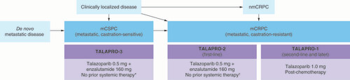Figure 2. An overview of the talazoparib prostate cancer program. *No prior life-prolonging systemic therapy for castration-sensitive prostate cancer, excluding ≤3 months androgen deprivation therapy with or without an approved androgen-receptor signaling inhibitor; treatment with estrogens, cyproterone acetate, or first-generation anti-androgens is allowed until randomization. †No prior life-prolonging systemic therapy for castration-resistant prostate cancer, excluding androgen deprivation therapy and first-generation antiandrogens.mCRPC: Metastatic castration-resistant prostate cancer; mCSPC: Metastatic castration-sensitive prostate cancer; nmCRPC: Non-metastatic castration-resistant prostate cancer.